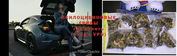 Альфа ПВП Алексин