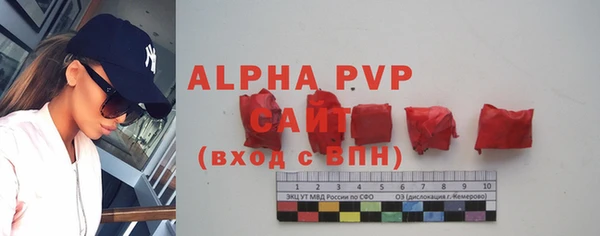 шишки Алзамай