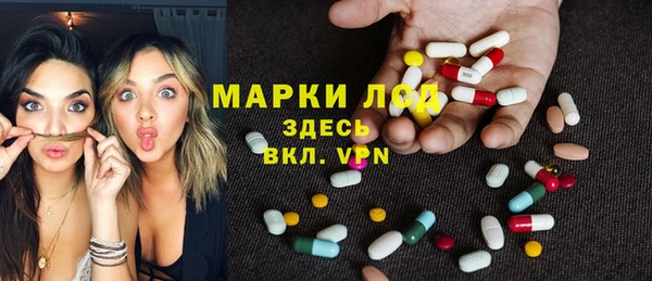 шишки Алзамай