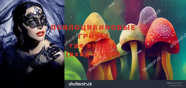 шишки Алзамай