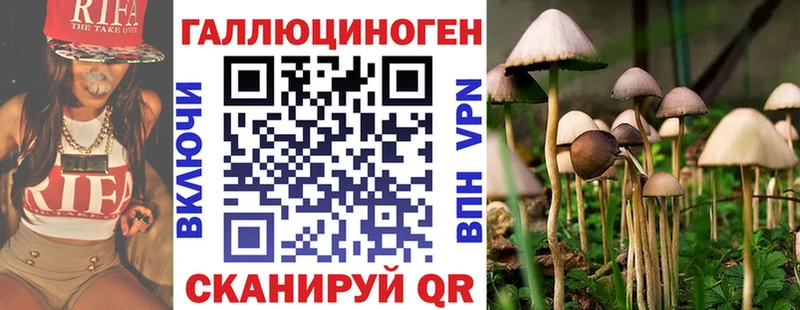 Псилоцибиновые грибы Magic Shrooms  Вологда 