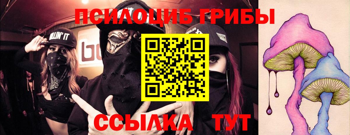 Псилоцибиновые грибы Magic Shrooms  Вход с VPN  Псилоцибиновые грибы Psilocybe  Вологда 
